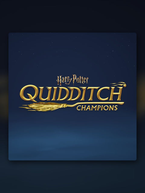 Harry Potter: Campeones de Quidditch